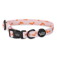 Collar // Bonjour