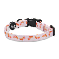 Collar // Bonjour