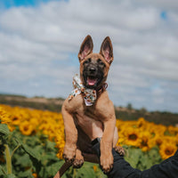 Velvet Sailor Bow Tie // Sunflower Child