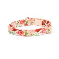 Velvet Collar // Holly Floral