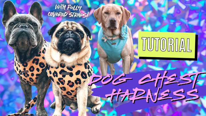 HOW TO MAKE A DOG HARNESS 🎀 | TUTORIAL | COVERED STRAPS | CHEST HARNESS | INSTAGRAM DOG
