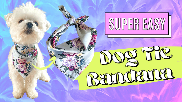 How to tie a bandana for a dog deals