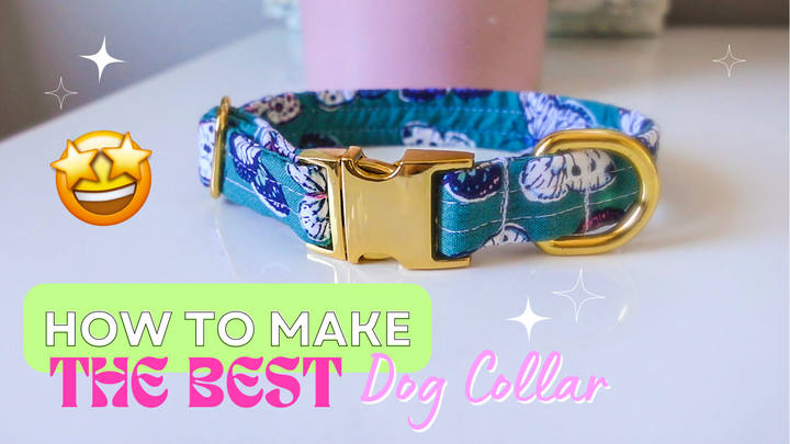 HOW TO MAKE THE BEST DOG COLLAR 🎀 | TUTORIAL | FASHIONABLE | INSTAGRAM DOG