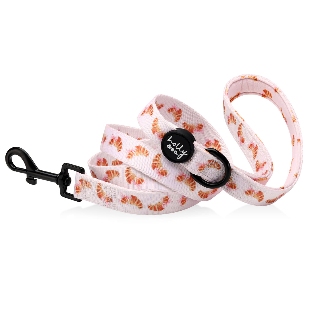 Leash // Bonjour