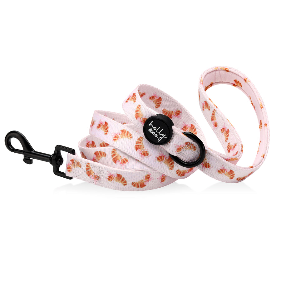 Leash // Bonjour