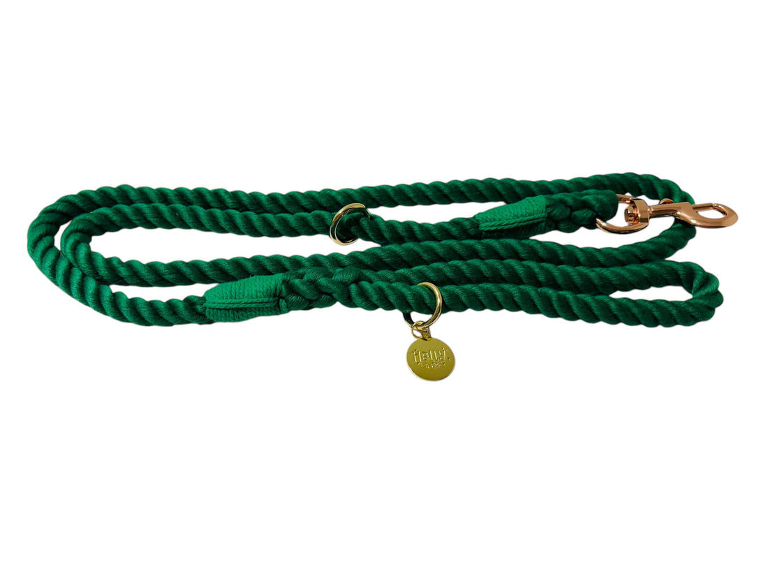 Rope Leash // Emerald