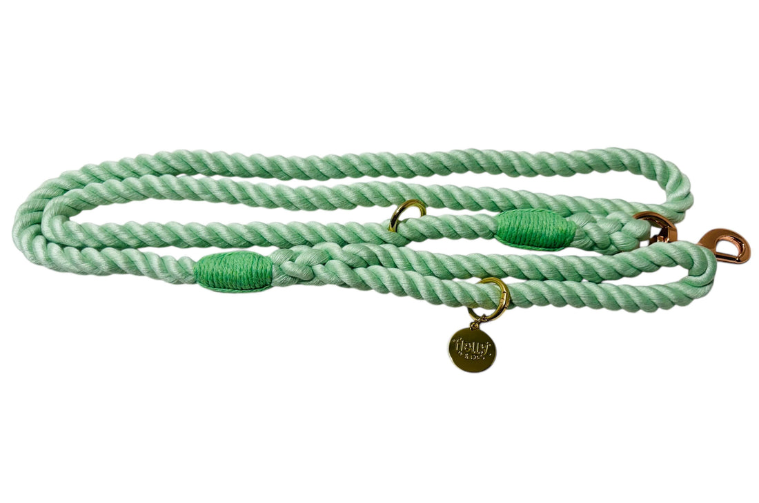 Rope Leash // Mint