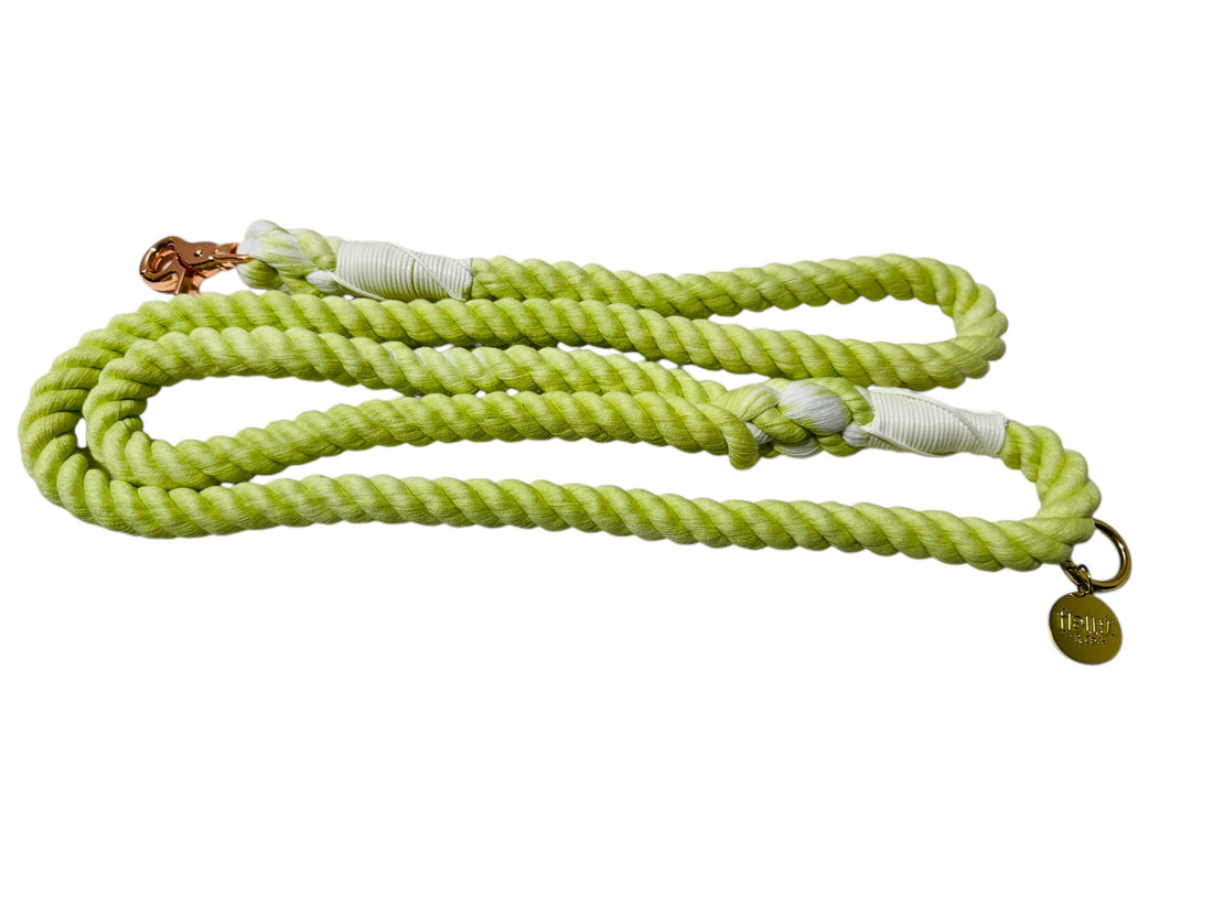 Rope Leash // Kiwi Fruit