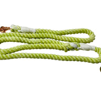 Rope Leash // Kiwi Fruit