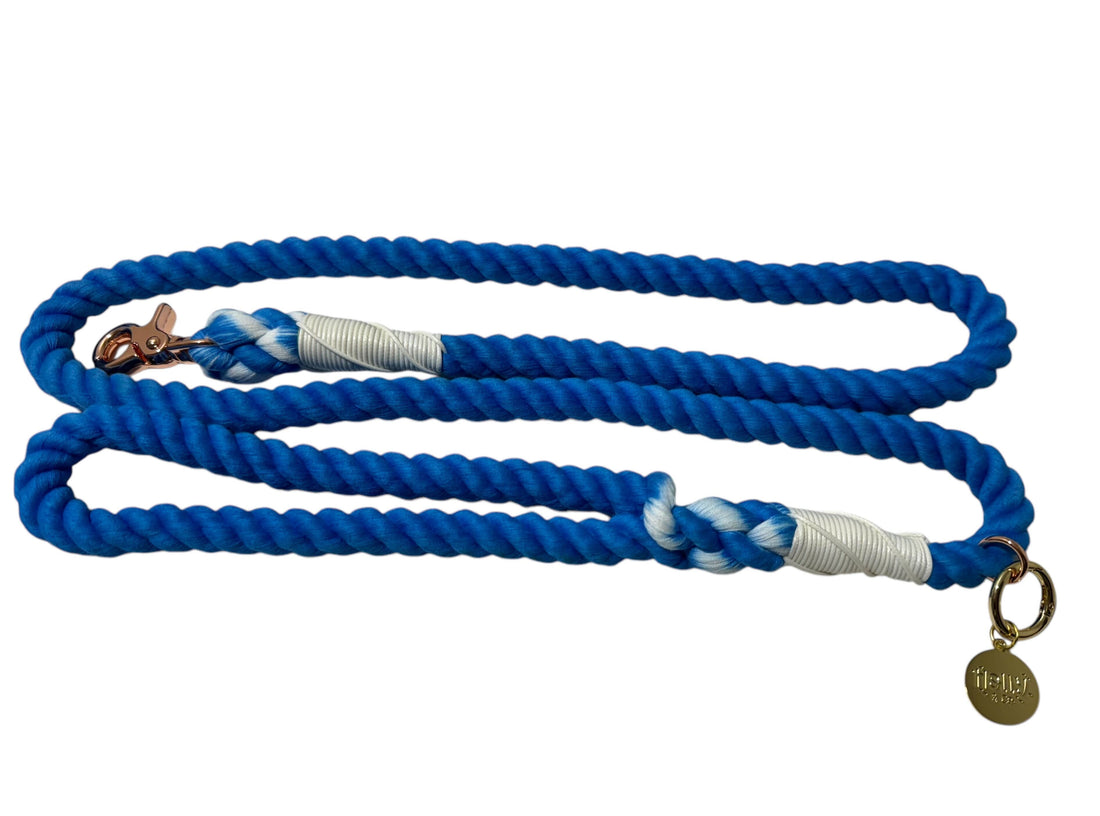 Rope Leash // Electric Blue