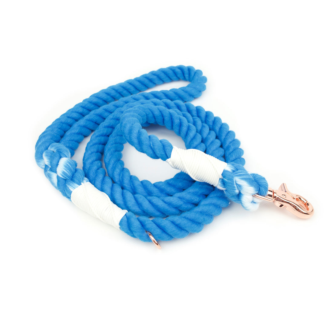 Rope Leash // Electric Blue
