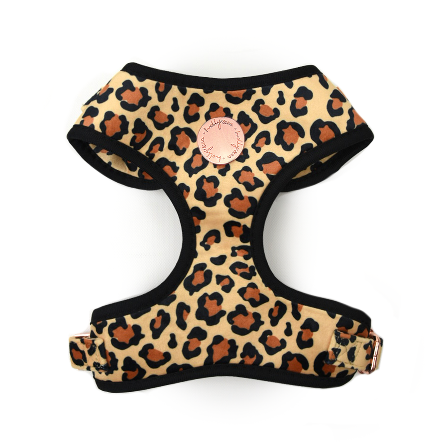 Velvet Harness // Basic B*tch Leopard