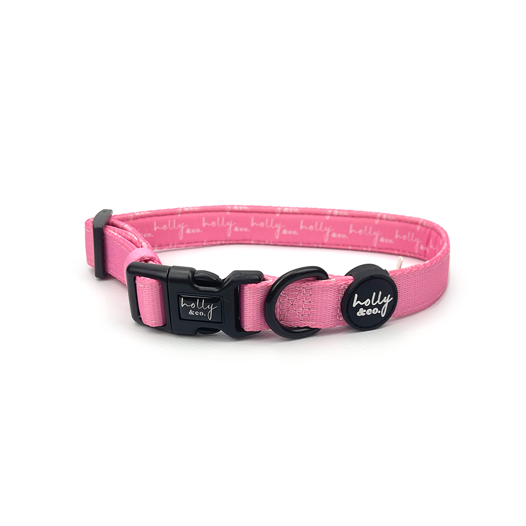 Holly and co cheap dog collars