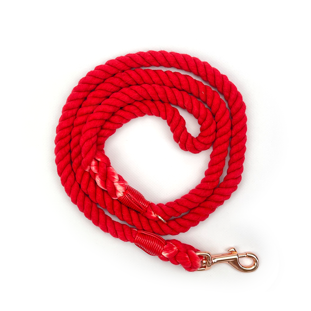 Rope Leash // Ruby